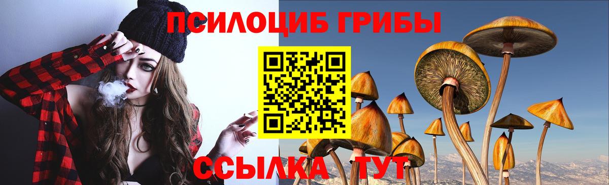 где купить наркоту  Вход с VPN  Удомля  Галлюциногенные грибы GOLDEN TEACHER 